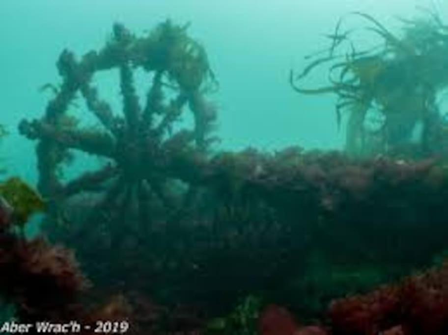Gite Entre Mer Et Abers Landéda Exterior foto
