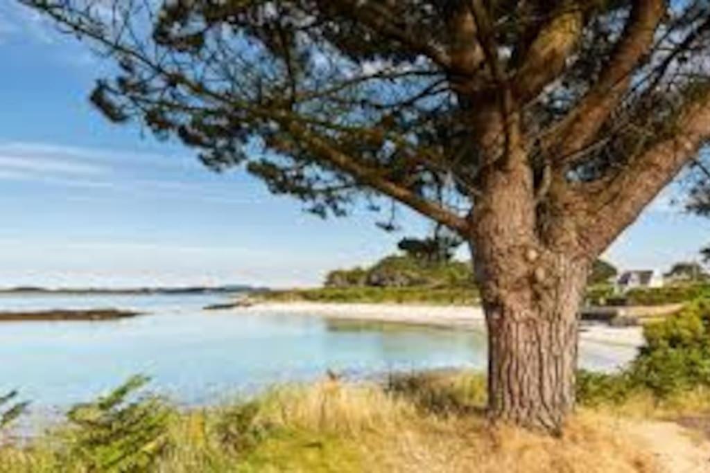 Gite Entre Mer Et Abers Landéda Exterior foto